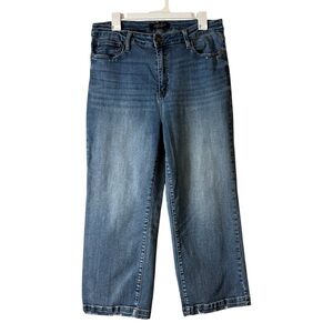 Judy Blue Straight Leg Denim Jeans Womens Size 15/32